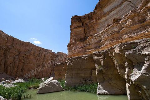 Falaises et cascades de Tamerza
