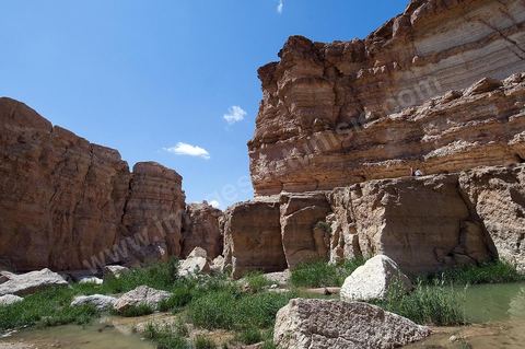 Falaises et cascades de Tamerza