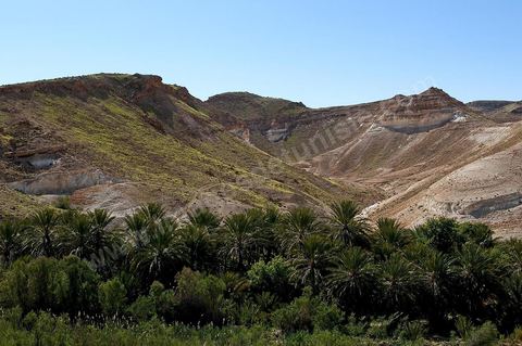 Oasis et montagnes de Tamerza