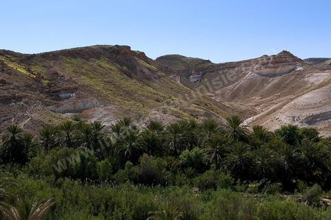 Oasis et montagnes de Tamerza