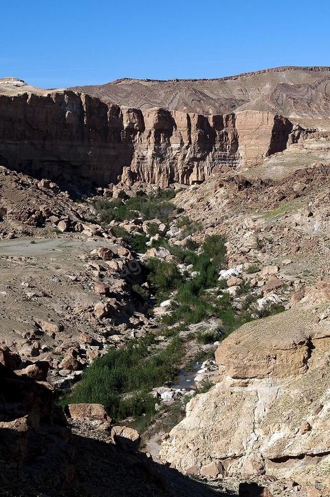 falaises et canyon de Tamerza