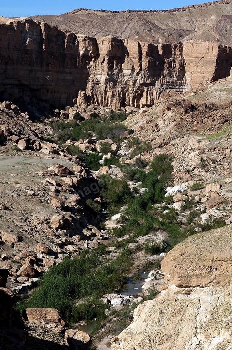 falaises et canyon de Tamerza