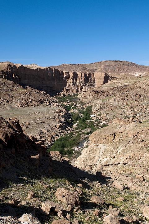 falaises et canyon de Tamerza