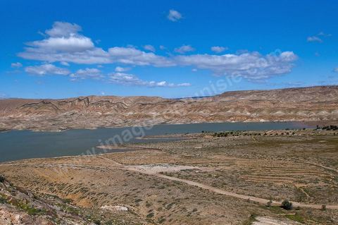 Barrage et lac artificiel de Tamerza
