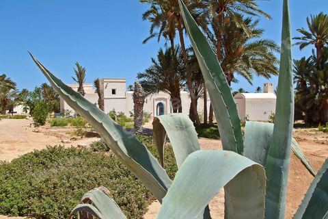 Houch traditionnel au milieu du jardin du menzel - Djerba Explore - Ile de Djerba