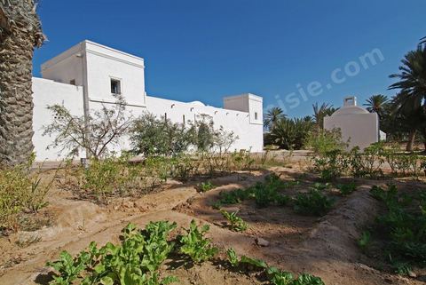 Houch traditionnel au milieu du jardin du menzel - Djerba Explore - Ile de Djerba