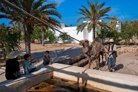 Jardins du menzel de Djerba Heritage au Parc Djerba Explore