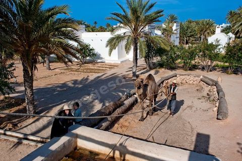 Jardins du menzel de Djerba Heritage au Parc Djerba Explore