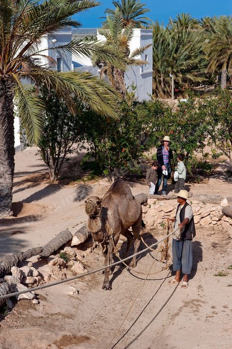 Jardins du menzel de Djerba Heritage au Parc Djerba Explore