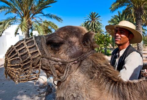 Jardins du menzel de Djerba Heritage au Parc Djerba Explore