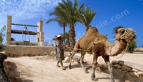 Jardins du menzel de Djerba Heritage au Parc Djerba Explore