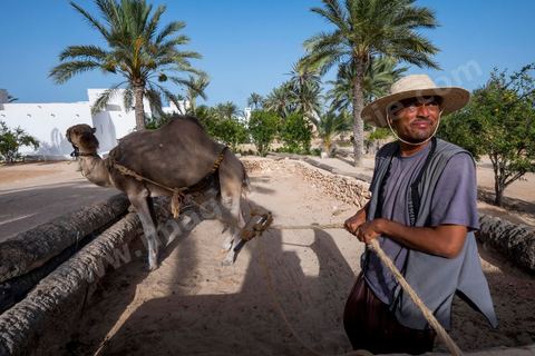 Jardins du menzel de Djerba Heritage au Parc Djerba Explore