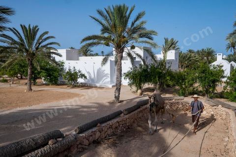 Jardins du menzel de Djerba Heritage au Parc Djerba Explore
