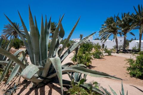 Jardins du menzel de Djerba Heritage au Parc Djerba Explore