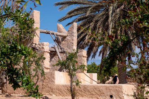 Jardins du menzel de Djerba Heritage au Parc Djerba Explore