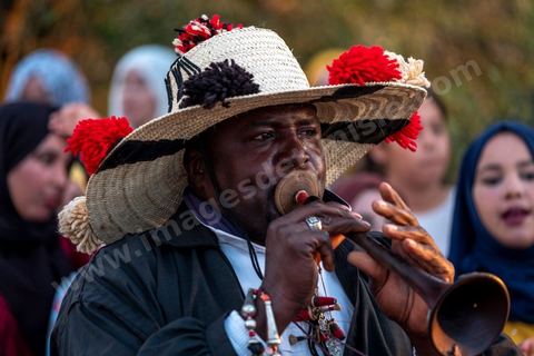 Avant le mariage, un cortège traverse les villages et la campagne de Djerba pour transporter le trousseau et les cadeaux offerts à la mariée, portés dans des couffins décorés. La marche est ouverte par des musiciens traditionnels, tambour et zokra en tête, qui annoncent le passage du cortège de maison en maison. Femmes et enfants du voisinage se joignent au passage, dans une ambiance de fête qui marque l'un des temps forts des préparatifs du mariage djerbien.