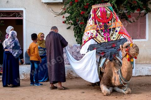 Lors du mariage traditionnel djerbien, un dromadaire orné du jahfa, une sorte de palanquin richement décoré, est envoyé par la famille du marié pour venir chercher la mariée. Les tissus colorés sont brodés de symboles protecteurs, la main de Fatma et le poisson, censés éloigner le mauvais œil sur ce moment de passage entre les deux familles. La mariée y prend place, ne devant pas poser le pied à terre, pour être conduite jusqu'à son nouveau foyer, escortée par les proches et les enfants du village.