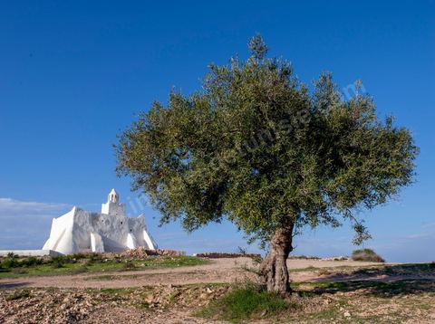 Mosquée Ben Maguel près de Aghir sur l'île de Djerba