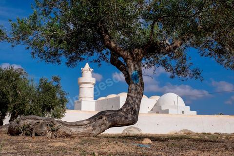 Mosquée El Bessi à Oualagh sur l'île de Djerba