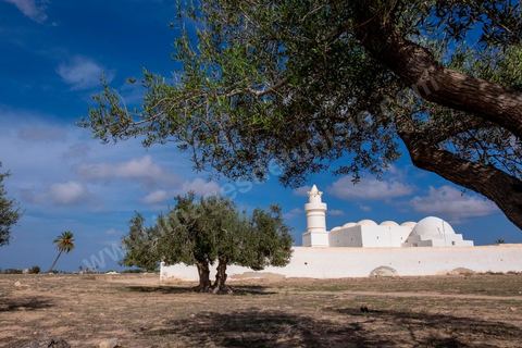 Mosquée El Bessi à Oualagh sur l'île de Djerba