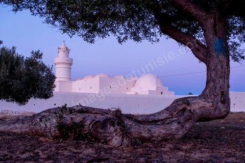 Mosquée El Bessi à Oualagh sur l'île de Djerba