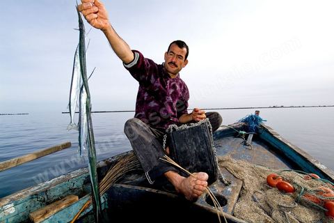 La charfia est une technique de pêche ancestrale pratiquée à Djerba et dans l'archipel des Kerkennah. Des murs de palmes plantées dans le fond marin dessinent un piège en forme de labyrinthe : à marée descendante, les poissons sont entraînés vers des chambres de capture où ils restent prisonniers, vivants, jusqu'à la levée des filets. Ce savoir-faire, transmis de génération en génération, associe la pêche à des rituels collectifs et façonne le paysage lagunaire de l'île. Il a été inscrit en 2020 au patrimoine culturel immatériel de l'humanité par l'Unesco.