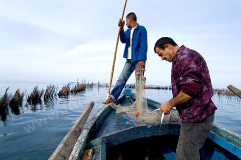 La charfia est une technique de pêche ancestrale pratiquée à Djerba et dans l'archipel des Kerkennah. Des murs de palmes plantées dans le fond marin dessinent un piège en forme de labyrinthe : à marée descendante, les poissons sont entraînés vers des chambres de capture où ils restent prisonniers, vivants, jusqu'à la levée des filets. Ce savoir-faire, transmis de génération en génération, associe la pêche à des rituels collectifs et façonne le paysage lagunaire de l'île. Il a été inscrit en 2020 au patrimoine culturel immatériel de l'humanité par l'Unesco.