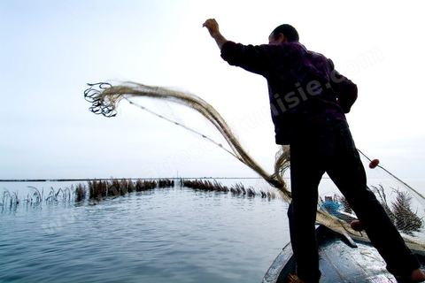 La charfia est une technique de pêche ancestrale pratiquée à Djerba et dans l'archipel des Kerkennah. Des murs de palmes plantées dans le fond marin dessinent un piège en forme de labyrinthe : à marée descendante, les poissons sont entraînés vers des chambres de capture où ils restent prisonniers, vivants, jusqu'à la levée des filets. Ce savoir-faire, transmis de génération en génération, associe la pêche à des rituels collectifs et façonne le paysage lagunaire de l'île. Il a été inscrit en 2020 au patrimoine culturel immatériel de l'humanité par l'Unesco.