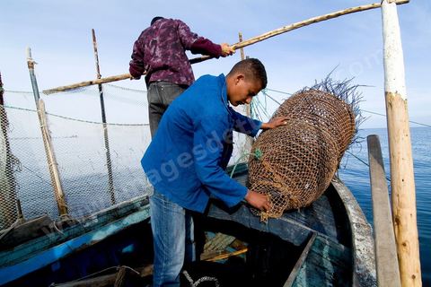 La charfia est une technique de pêche ancestrale pratiquée à Djerba et dans l'archipel des Kerkennah. Des murs de palmes plantées dans le fond marin dessinent un piège en forme de labyrinthe : à marée descendante, les poissons sont entraînés vers des chambres de capture où ils restent prisonniers, vivants, jusqu'à la levée des filets. Ce savoir-faire, transmis de génération en génération, associe la pêche à des rituels collectifs et façonne le paysage lagunaire de l'île. Il a été inscrit en 2020 au patrimoine culturel immatériel de l'humanité par l'Unesco.