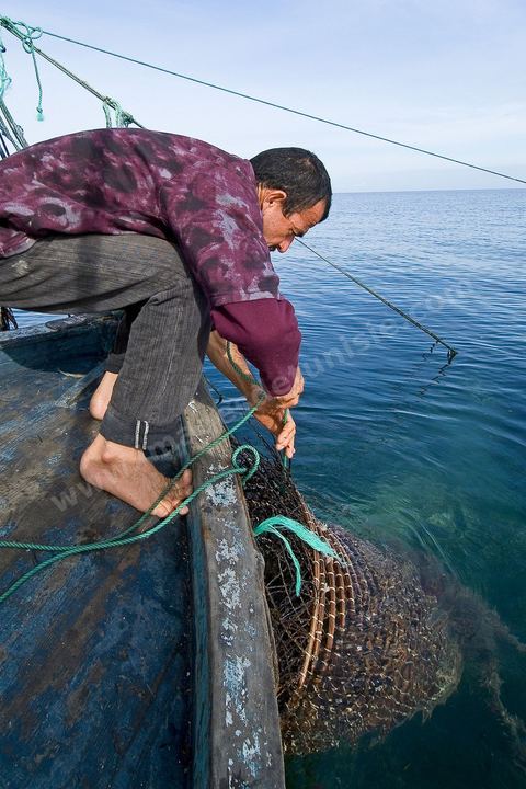 La charfia est une technique de pêche ancestrale pratiquée à Djerba et dans l'archipel des Kerkennah. Des murs de palmes plantées dans le fond marin dessinent un piège en forme de labyrinthe : à marée descendante, les poissons sont entraînés vers des chambres de capture où ils restent prisonniers, vivants, jusqu'à la levée des filets. Ce savoir-faire, transmis de génération en génération, associe la pêche à des rituels collectifs et façonne le paysage lagunaire de l'île. Il a été inscrit en 2020 au patrimoine culturel immatériel de l'humanité par l'Unesco.