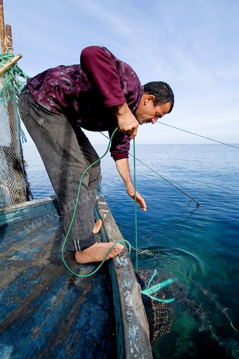 La charfia est une technique de pêche ancestrale pratiquée à Djerba et dans l'archipel des Kerkennah. Des murs de palmes plantées dans le fond marin dessinent un piège en forme de labyrinthe : à marée descendante, les poissons sont entraînés vers des chambres de capture où ils restent prisonniers, vivants, jusqu'à la levée des filets. Ce savoir-faire, transmis de génération en génération, associe la pêche à des rituels collectifs et façonne le paysage lagunaire de l'île. Il a été inscrit en 2020 au patrimoine culturel immatériel de l'humanité par l'Unesco.