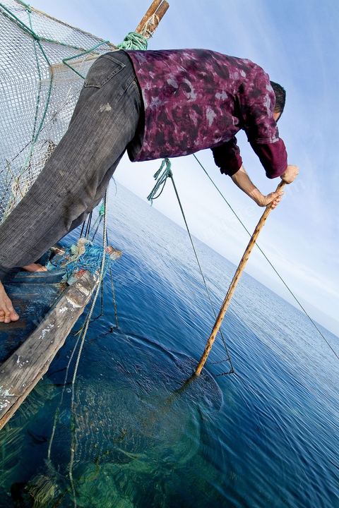 La charfia est une technique de pêche ancestrale pratiquée à Djerba et dans l'archipel des Kerkennah. Des murs de palmes plantées dans le fond marin dessinent un piège en forme de labyrinthe : à marée descendante, les poissons sont entraînés vers des chambres de capture où ils restent prisonniers, vivants, jusqu'à la levée des filets. Ce savoir-faire, transmis de génération en génération, associe la pêche à des rituels collectifs et façonne le paysage lagunaire de l'île. Il a été inscrit en 2020 au patrimoine culturel immatériel de l'humanité par l'Unesco.