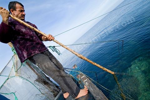 La charfia est une technique de pêche ancestrale pratiquée à Djerba et dans l'archipel des Kerkennah. Des murs de palmes plantées dans le fond marin dessinent un piège en forme de labyrinthe : à marée descendante, les poissons sont entraînés vers des chambres de capture où ils restent prisonniers, vivants, jusqu'à la levée des filets. Ce savoir-faire, transmis de génération en génération, associe la pêche à des rituels collectifs et façonne le paysage lagunaire de l'île. Il a été inscrit en 2020 au patrimoine culturel immatériel de l'humanité par l'Unesco.