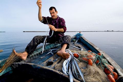La charfia est une technique de pêche ancestrale pratiquée à Djerba et dans l'archipel des Kerkennah. Des murs de palmes plantées dans le fond marin dessinent un piège en forme de labyrinthe : à marée descendante, les poissons sont entraînés vers des chambres de capture où ils restent prisonniers, vivants, jusqu'à la levée des filets. Ce savoir-faire, transmis de génération en génération, associe la pêche à des rituels collectifs et façonne le paysage lagunaire de l'île. Il a été inscrit en 2020 au patrimoine culturel immatériel de l'humanité par l'Unesco.