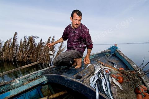 La charfia est une technique de pêche ancestrale pratiquée à Djerba et dans l'archipel des Kerkennah. Des murs de palmes plantées dans le fond marin dessinent un piège en forme de labyrinthe : à marée descendante, les poissons sont entraînés vers des chambres de capture où ils restent prisonniers, vivants, jusqu'à la levée des filets. Ce savoir-faire, transmis de génération en génération, associe la pêche à des rituels collectifs et façonne le paysage lagunaire de l'île. Il a été inscrit en 2020 au patrimoine culturel immatériel de l'humanité par l'Unesco.