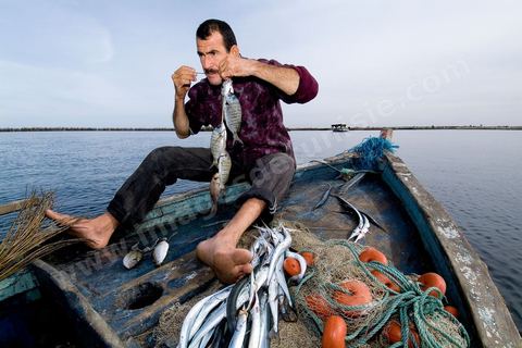 La charfia est une technique de pêche ancestrale pratiquée à Djerba et dans l'archipel des Kerkennah. Des murs de palmes plantées dans le fond marin dessinent un piège en forme de labyrinthe : à marée descendante, les poissons sont entraînés vers des chambres de capture où ils restent prisonniers, vivants, jusqu'à la levée des filets. Ce savoir-faire, transmis de génération en génération, associe la pêche à des rituels collectifs et façonne le paysage lagunaire de l'île. Il a été inscrit en 2020 au patrimoine culturel immatériel de l'humanité par l'Unesco.