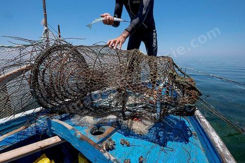 La charfia est une technique de pêche ancestrale pratiquée à Djerba et dans l'archipel des Kerkennah. Des murs de palmes plantées dans le fond marin dessinent un piège en forme de labyrinthe : à marée descendante, les poissons sont entraînés vers des chambres de capture où ils restent prisonniers, vivants, jusqu'à la levée des filets. Ce savoir-faire, transmis de génération en génération, associe la pêche à des rituels collectifs et façonne le paysage lagunaire de l'île. Il a été inscrit en 2020 au patrimoine culturel immatériel de l'humanité par l'Unesco.