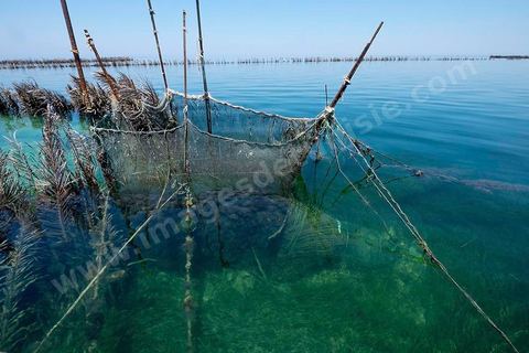 La charfia est une technique de pêche ancestrale pratiquée à Djerba et dans l'archipel des Kerkennah. Des murs de palmes plantées dans le fond marin dessinent un piège en forme de labyrinthe : à marée descendante, les poissons sont entraînés vers des chambres de capture où ils restent prisonniers, vivants, jusqu'à la levée des filets. Ce savoir-faire, transmis de génération en génération, associe la pêche à des rituels collectifs et façonne le paysage lagunaire de l'île. Il a été inscrit en 2020 au patrimoine culturel immatériel de l'humanité par l'Unesco.