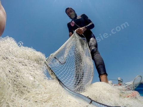 La charfia est une technique de pêche ancestrale pratiquée à Djerba et dans l'archipel des Kerkennah. Des murs de palmes plantées dans le fond marin dessinent un piège en forme de labyrinthe : à marée descendante, les poissons sont entraînés vers des chambres de capture où ils restent prisonniers, vivants, jusqu'à la levée des filets. Ce savoir-faire, transmis de génération en génération, associe la pêche à des rituels collectifs et façonne le paysage lagunaire de l'île. Il a été inscrit en 2020 au patrimoine culturel immatériel de l'humanité par l'Unesco.