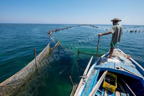 La charfia est une technique de pêche ancestrale pratiquée à Djerba et dans l'archipel des Kerkennah. Des murs de palmes plantées dans le fond marin dessinent un piège en forme de labyrinthe : à marée descendante, les poissons sont entraînés vers des chambres de capture où ils restent prisonniers, vivants, jusqu'à la levée des filets. Ce savoir-faire, transmis de génération en génération, associe la pêche à des rituels collectifs et façonne le paysage lagunaire de l'île. Il a été inscrit en 2020 au patrimoine culturel immatériel de l'humanité par l'Unesco.
