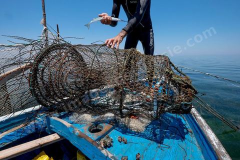 La charfia est une technique de pêche ancestrale pratiquée à Djerba et dans l'archipel des Kerkennah. Des murs de palmes plantées dans le fond marin dessinent un piège en forme de labyrinthe : à marée descendante, les poissons sont entraînés vers des chambres de capture où ils restent prisonniers, vivants, jusqu'à la levée des filets. Ce savoir-faire, transmis de génération en génération, associe la pêche à des rituels collectifs et façonne le paysage lagunaire de l'île. Il a été inscrit en 2020 au patrimoine culturel immatériel de l'humanité par l'Unesco.