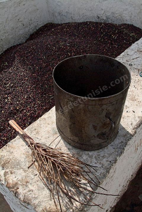 Huilerie traditionnelle - Mellita - Ile de Djerba