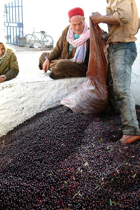 Huilerie traditionnelle - Mellita - Ile de Djerba