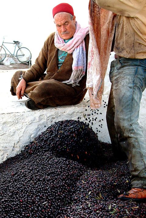 Huilerie traditionnelle - Mellita - Ile de Djerba