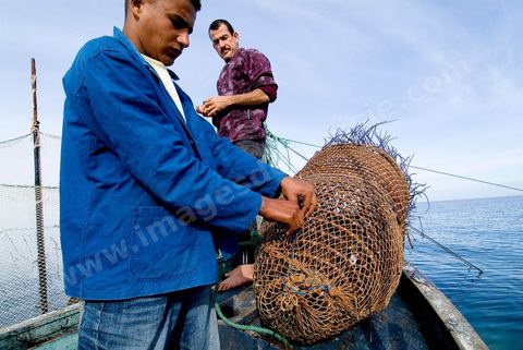 Pêche dasn les pêcheries fixes près de Mellita sur l'île de djerba