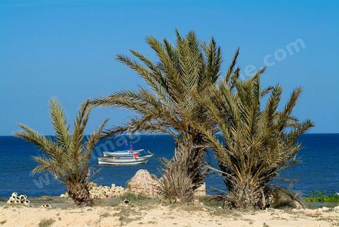 Peche traditionnelle dans les pecheries de Mellita - Ile de Djerba