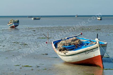 Peche traditionnelle dans les pecheries de Mellita - Ile de Djerba