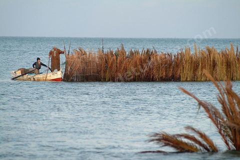 Peche traditionnelle dans les pecheries de Mellita - Ile de Djerba