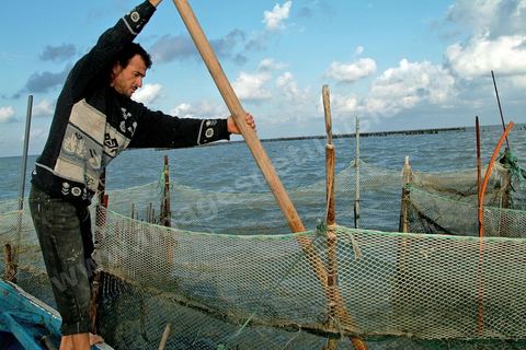 Peche traditionnelle dans les pecheries de Mellita - Ile de Djerba