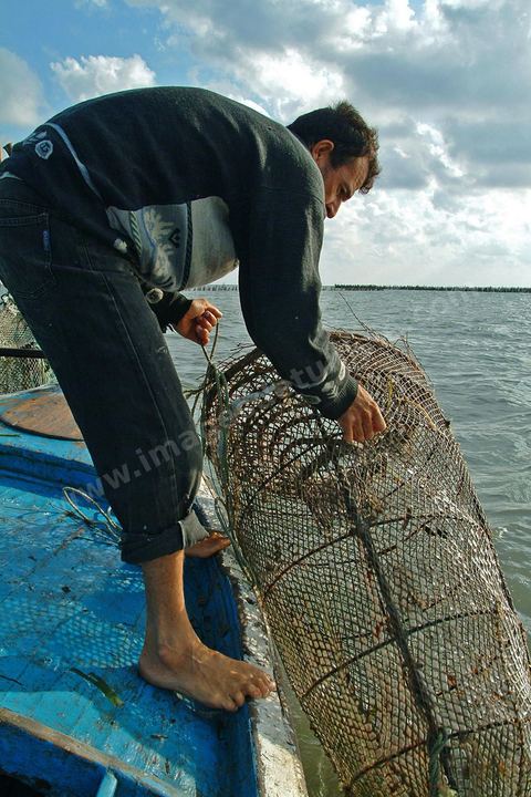 Peche traditionnelle dans les pecheries de Mellita - Ile de Djerba